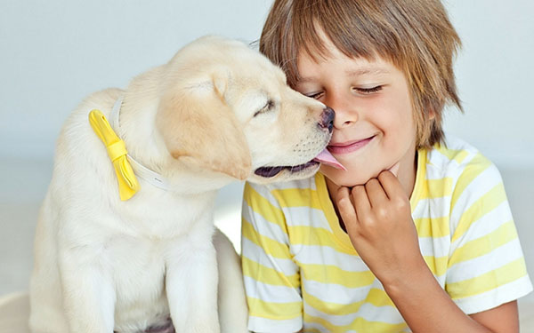 Gioia dei bambini: quattro motivi per avere un animale domestico