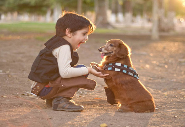 Gioia dei bambini: quattro motivi per avere un animale domestico