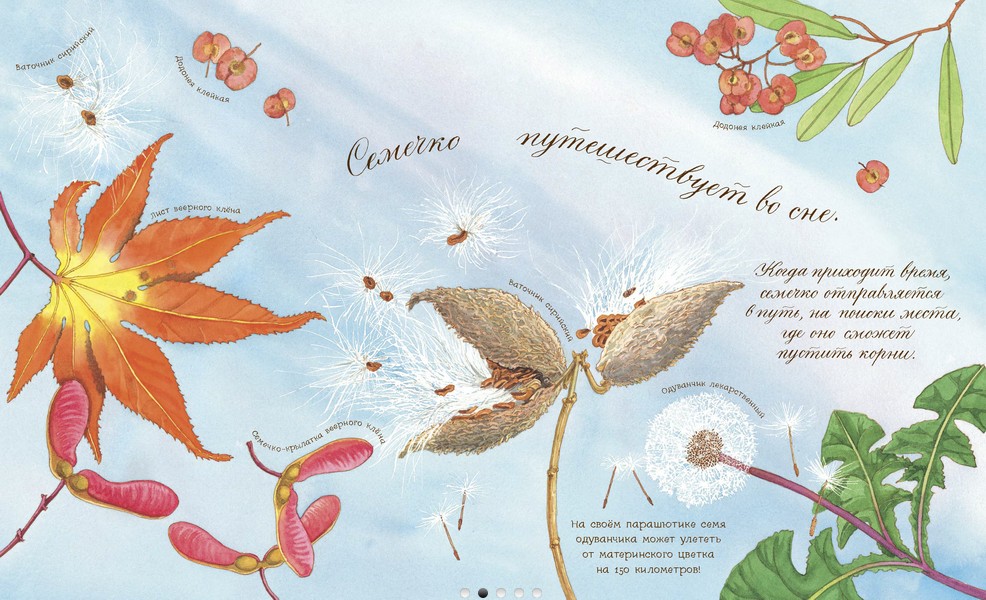 "Che sogno un seme": la botanica per i più piccoli