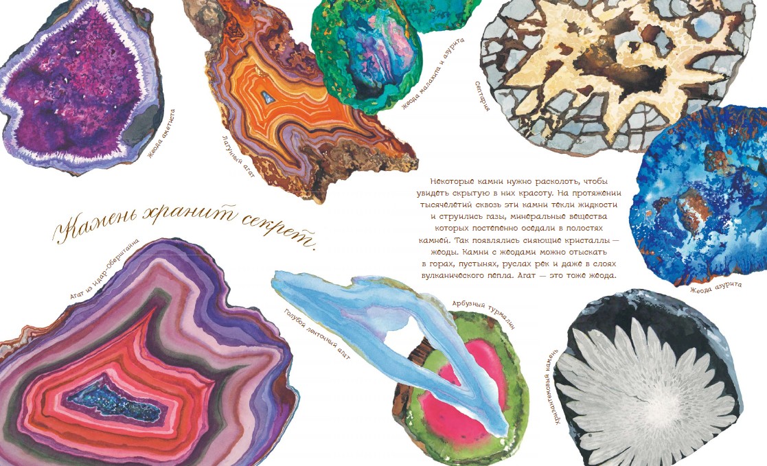 "La pietra ha una propria storia": la prima collezione di minerali