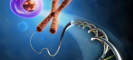 Coniugi Karyotyping, o Come pianificare la nascita di un bambino sano