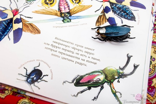 Scarafaggi, pulcini, farfalle Studiamo la natura insieme ai bambini