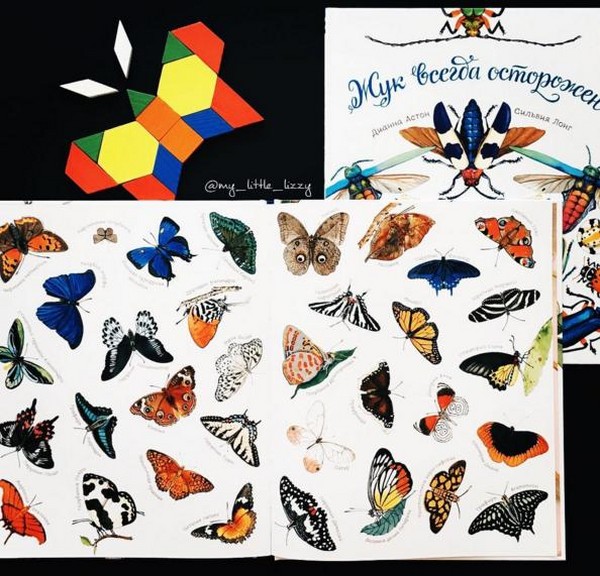 Scarafaggi, pulcini, farfalle Studiamo la natura insieme ai bambini