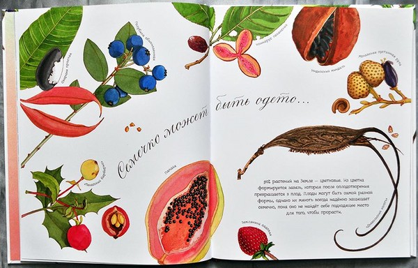 Scarafaggi, pulcini, farfalle Studiamo la natura insieme ai bambini