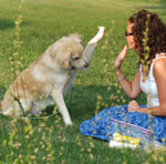come insegnare a un cane un comando vocale