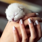 Di quali vaccinazioni ha bisogno un gattino