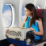 Trasporto di animali in aereo