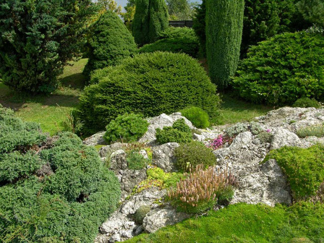 Giardino roccioso sul tuo sito