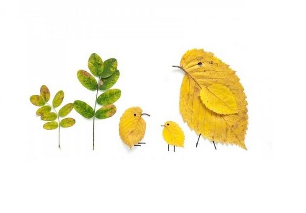 Applique da foglie d'autunno per scuola materna e 1-2 lezioni di scuola, lezioni master con foto e video