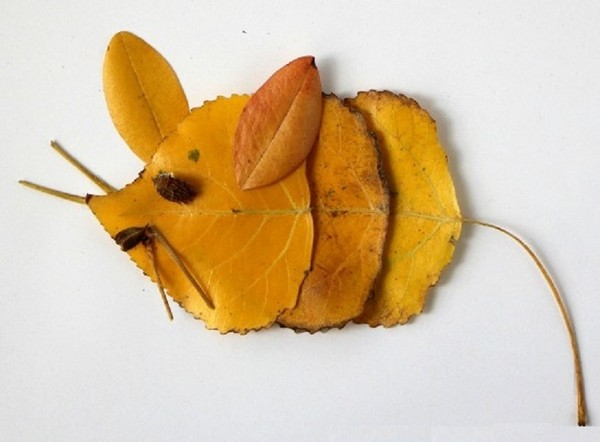 Applique da foglie d'autunno per scuola materna e 1-2 lezioni di scuola, lezioni master con foto e video