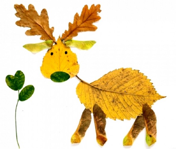 Applique da foglie d'autunno per scuola materna e 1-2 lezioni di scuola, lezioni master con foto e video