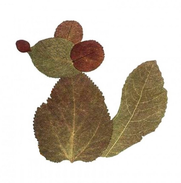 Applique da foglie d'autunno per scuola materna e 1-2 lezioni di scuola, lezioni master con foto e video
