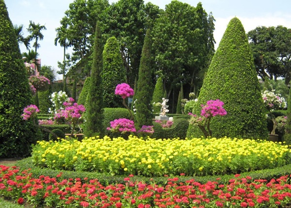 Bellissimi fiori per un'aiuola