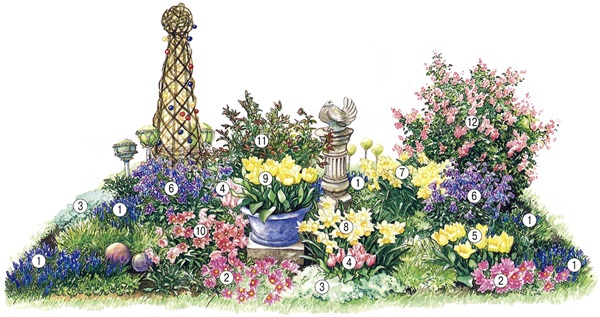 Bellissimi fiori per un'aiuola