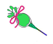 Fiori da dolci