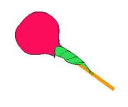 Fiori da dolci