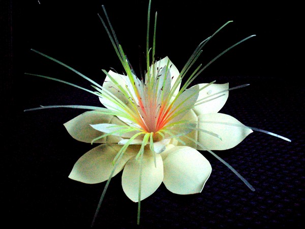 Fiori da bottiglie di plastica: una classe master per la realizzazione di artigianato in plastica con le proprie mani