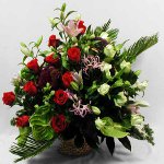 Floristica per principianti Floristica per principianti