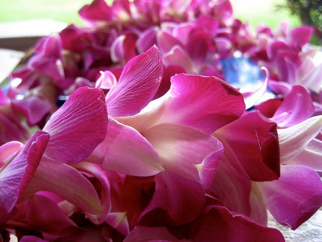 Perle Hawaii con le proprie mani