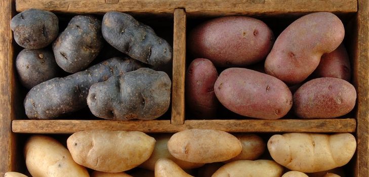 Come conservare le patate in inverno