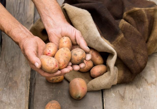 Come conservare le patate in inverno