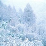 Come fotografare l'inverno? Come fotografare l'inverno?