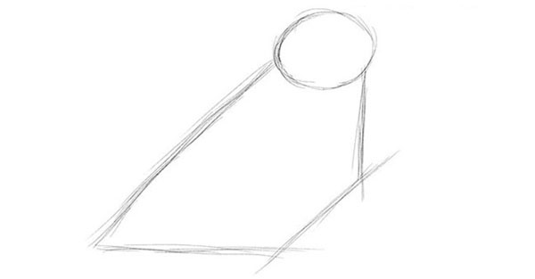 Come disegnare un uccello per gradi con una matita