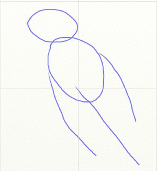 Come disegnare un uccello per gradi con una matita
