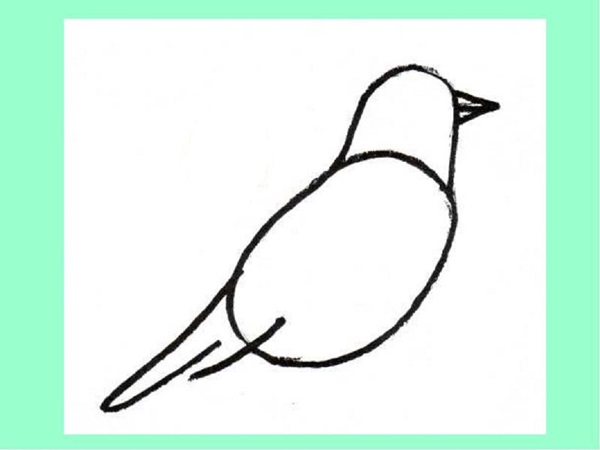 Come disegnare un uccello per gradi con una matita