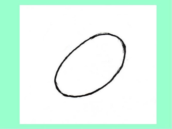 Come disegnare un uccello per gradi con una matita