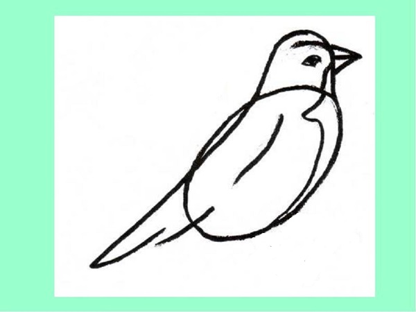 Come disegnare un uccello per gradi con una matita