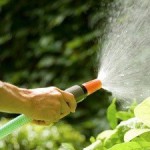 Come acqua le patate - video Come acqua le patate - video