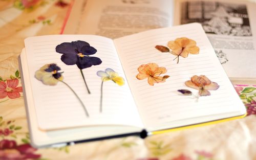 Come asciugare i fiori per un erbario
