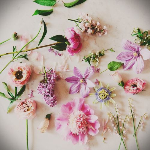 Come asciugare i fiori per un erbario