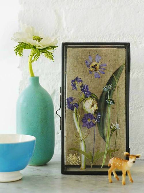 Come asciugare i fiori per un erbario