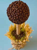 Come fare un albero di caffè Come fare un albero di caffè