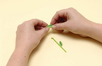 Quilling fiori da carta per i principianti
