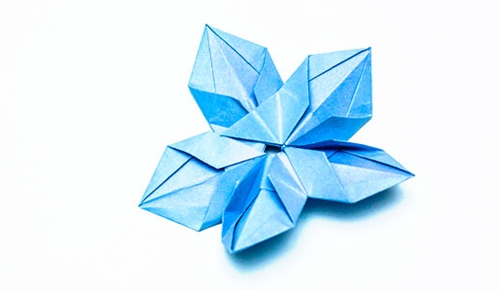 Come creare un fiore di origami con le tue mani