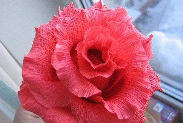 Rosette fatte di carta ondulata Rosette fatte di carta ondulata