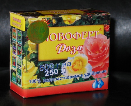 Come concimare le rose: consigli pratici