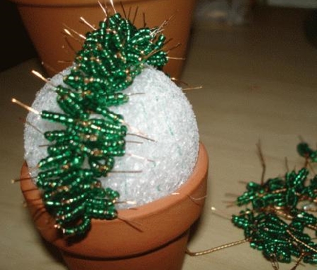 Cactus dalle mani delle perle