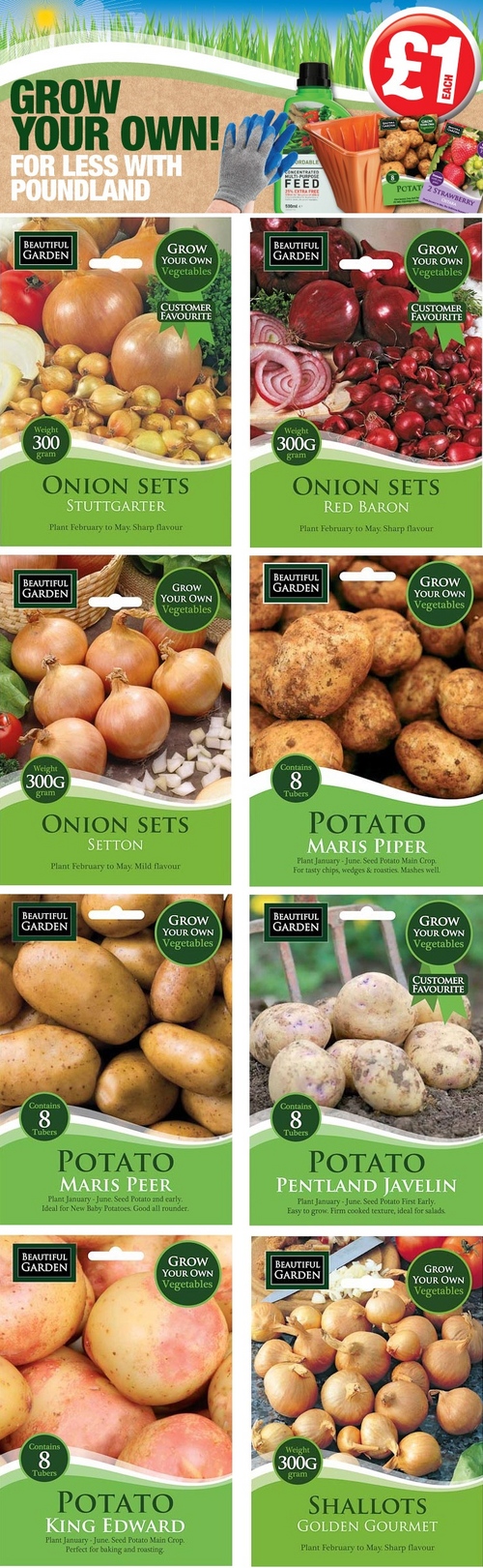 Piantine di patate