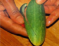Scolpire da frutta e verdura?