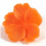 Scolpire da frutta e verdura?