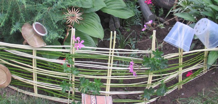 Letto di fiori dal vigneto con le tue mani