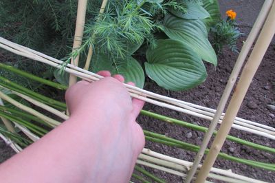 Letto di fiori dal vigneto con le tue mani