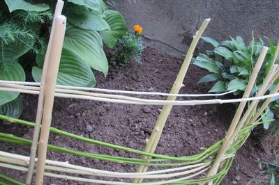 Letto di fiori dal vigneto con le tue mani