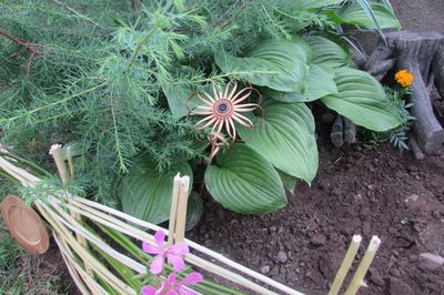 Letto di fiori dal vigneto con le tue mani