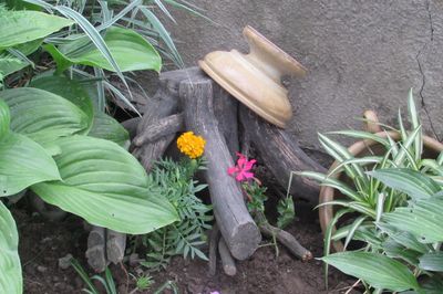 Letto di fiori dal vigneto con le tue mani