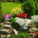 Contrasti nel giardino Contrasti nel giardino